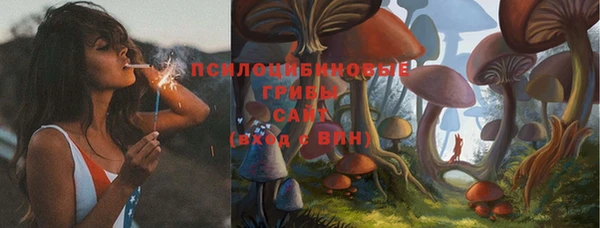твердый Кулебаки