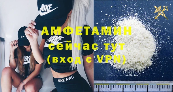 твердый Кулебаки