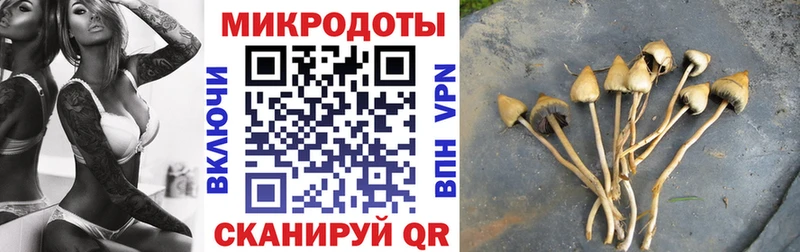 Галлюциногенные грибы мухоморы  Купить закладки  Заречный 